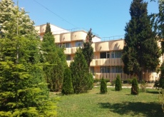Rosica Kiten2 